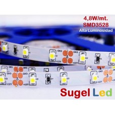 Tira LED 5 mts Flexible 24W 300 Led SMD 3528 IP20 Blanco Frío Alta Luminosidad